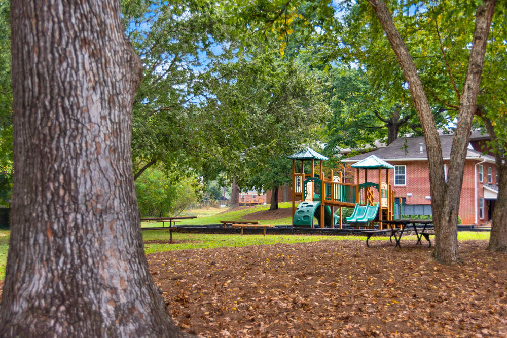 Spring Pointe Apartments Playground