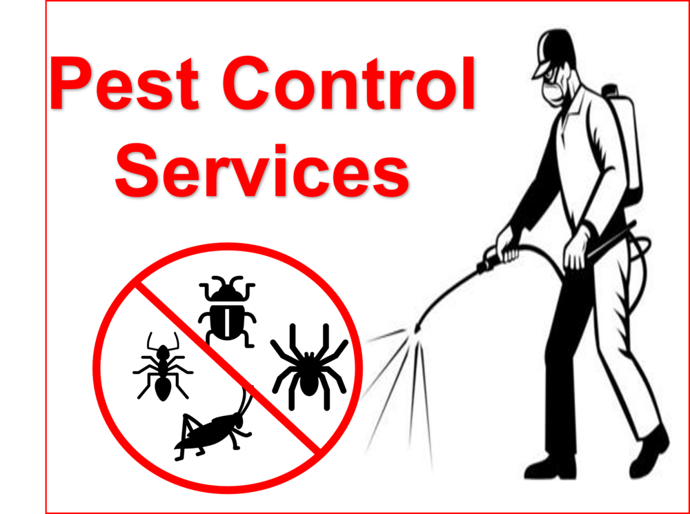 DHA Pest Control Services