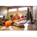 A girl using a computer mouse