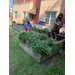 two woman gardening 