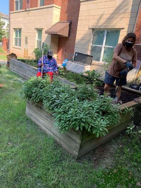 two woman gardening 