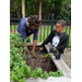 two boys gardening