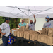 individuals standing at a table with paper bags