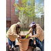 Planting Flowers