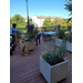 Seniors Gardening patio of Oliver House